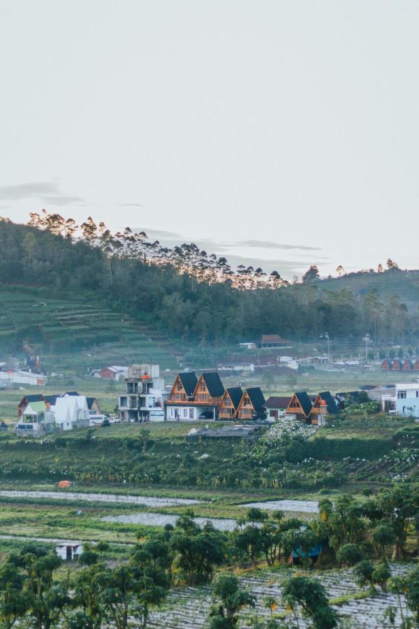 Awana Dieng Menginap di pertanian Diyeng