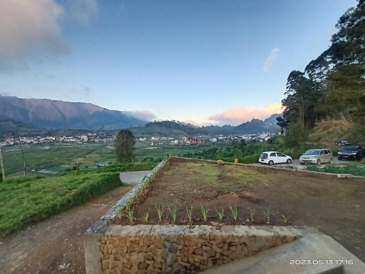 Awana Dieng Menginap di pertanian