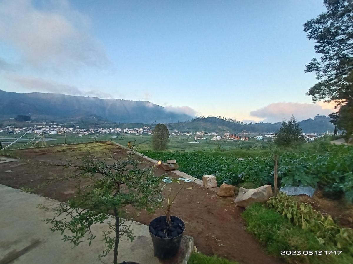 Awana Dieng * Diyeng
