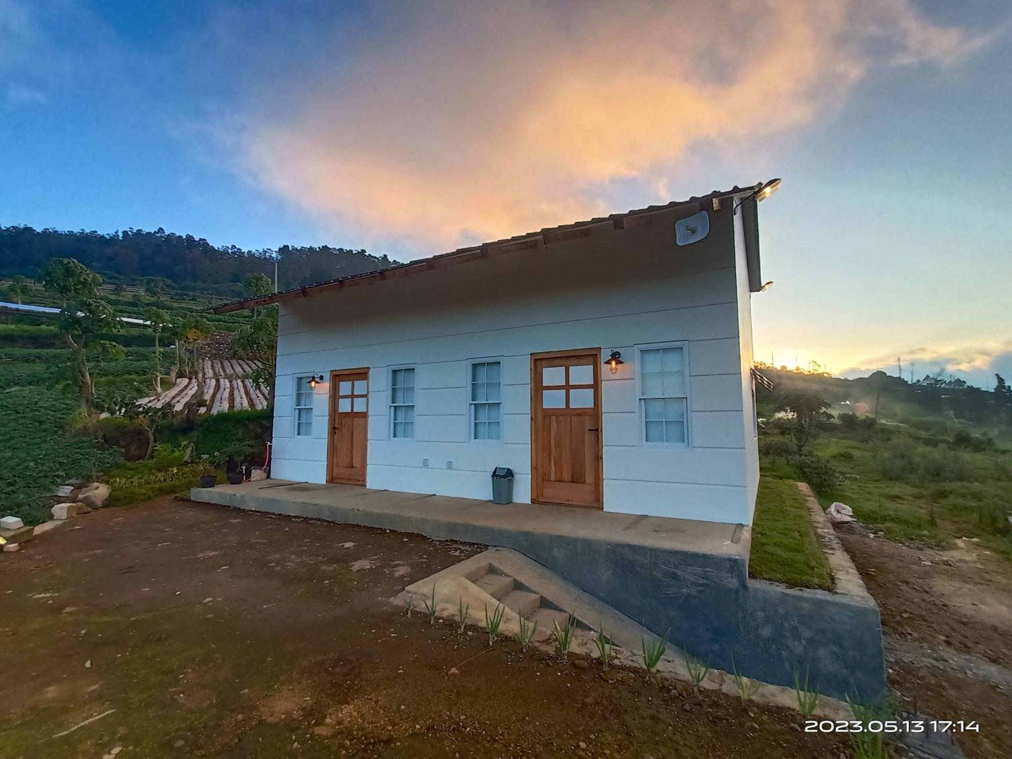 Awana Dieng Menginap di pertanian *